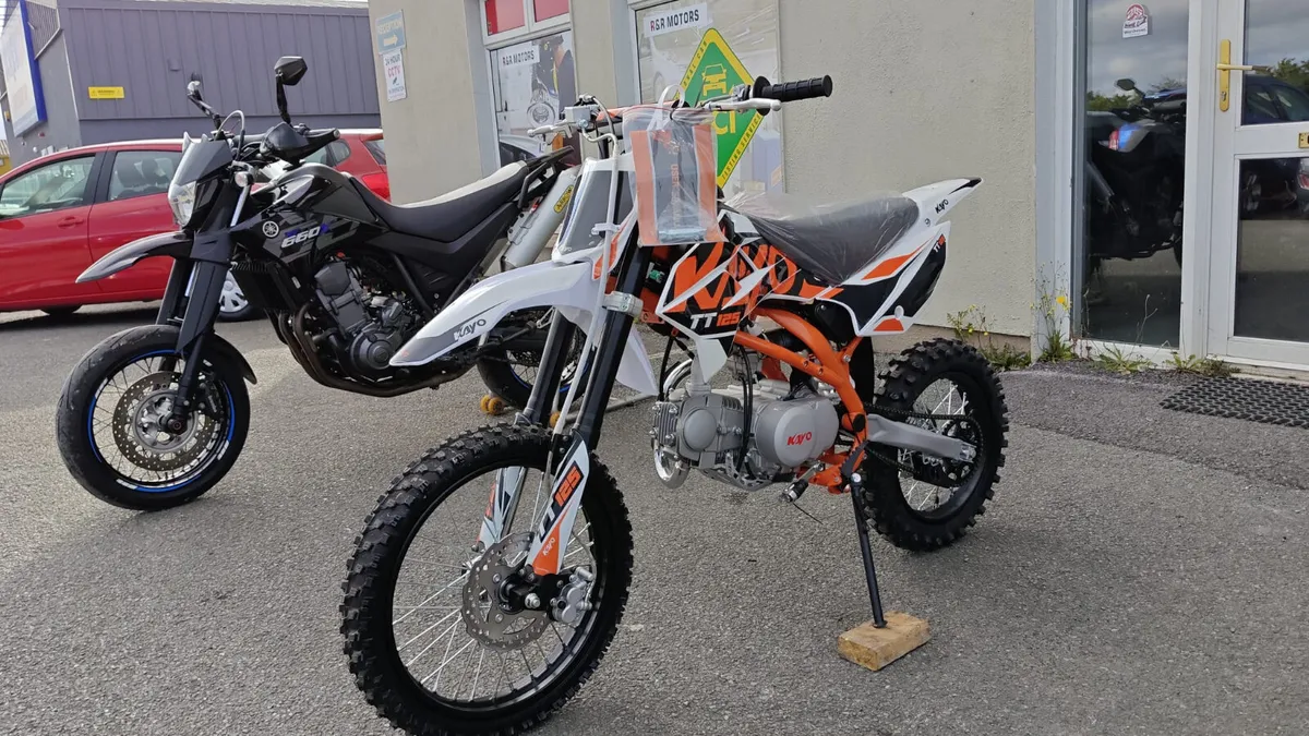 KAYO TT 125 New Pit Bike 2026 Authorized Dealer IE - Image 3