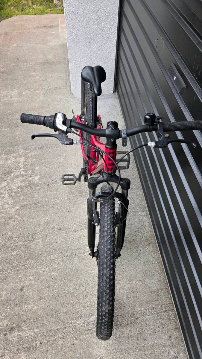 Trek precaliber - Image 3