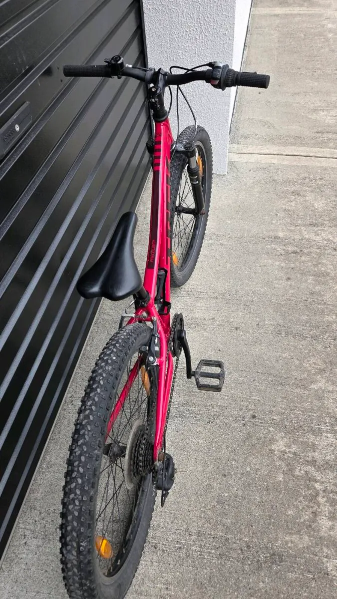 Trek precaliber - Image 4