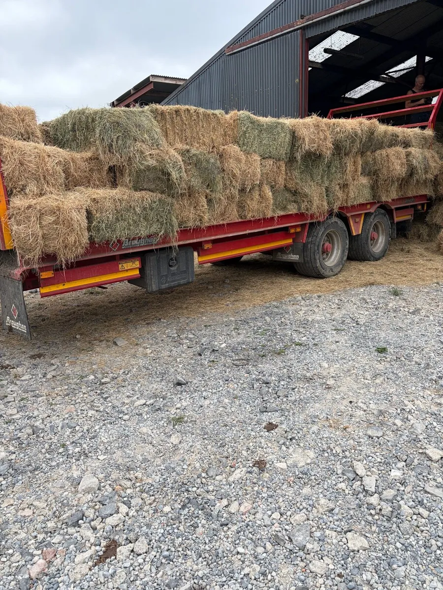 Square Bales for sales - Image 1