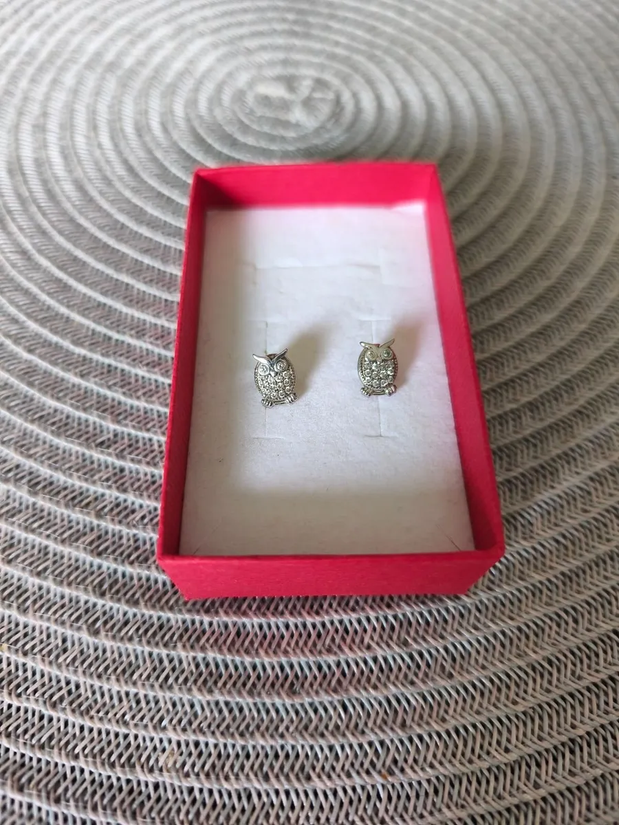 Silver earrings - Image 2