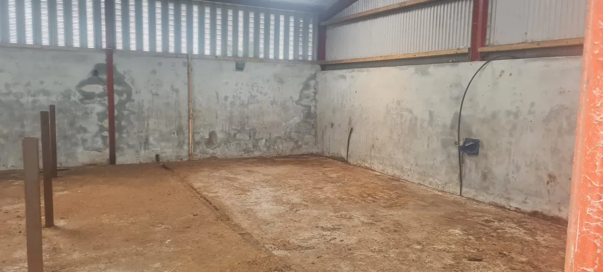 Shed - Image 3