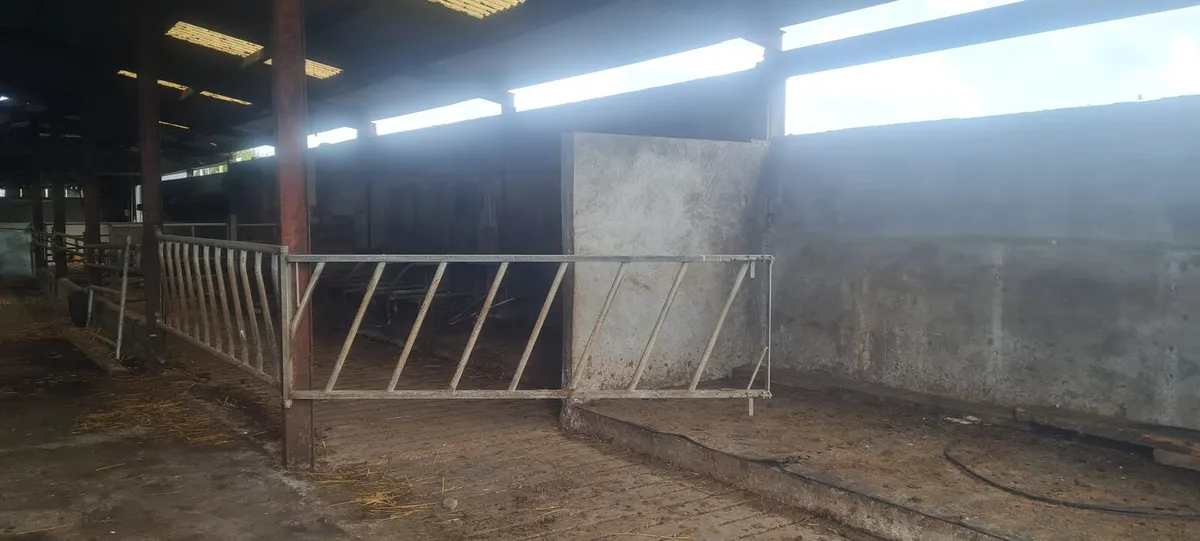 Shed - Image 4
