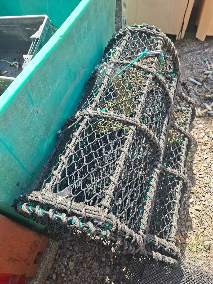 Parlour lobster pots - Image 1