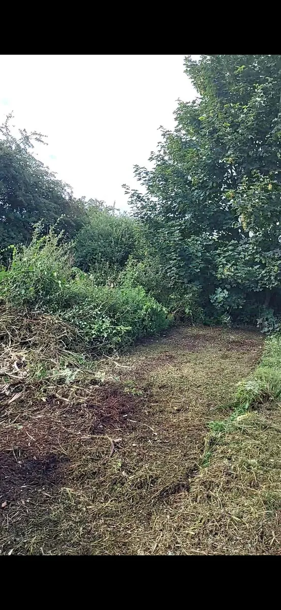 Power washing / mulching/ topping - Image 4
