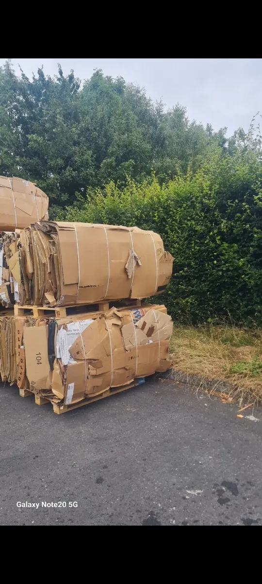 Cardboard Mill Size Baler - Image 3