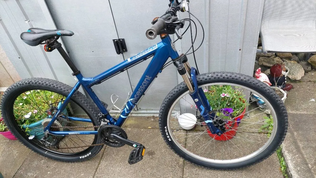 Gents Mountain Bike - Image 1