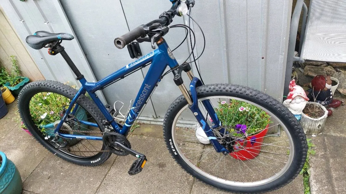 Gents Mountain Bike - Image 3