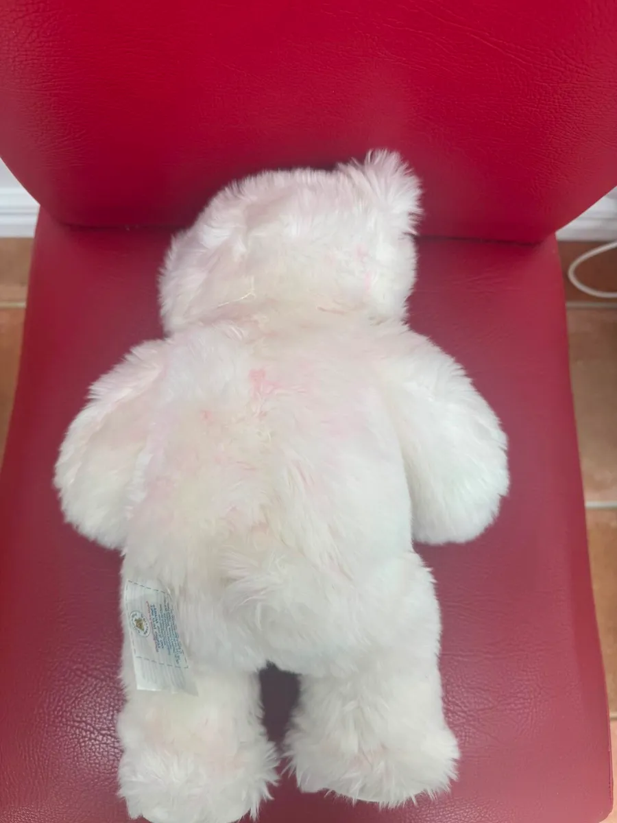 White Bear with two Dresses included - Image 2