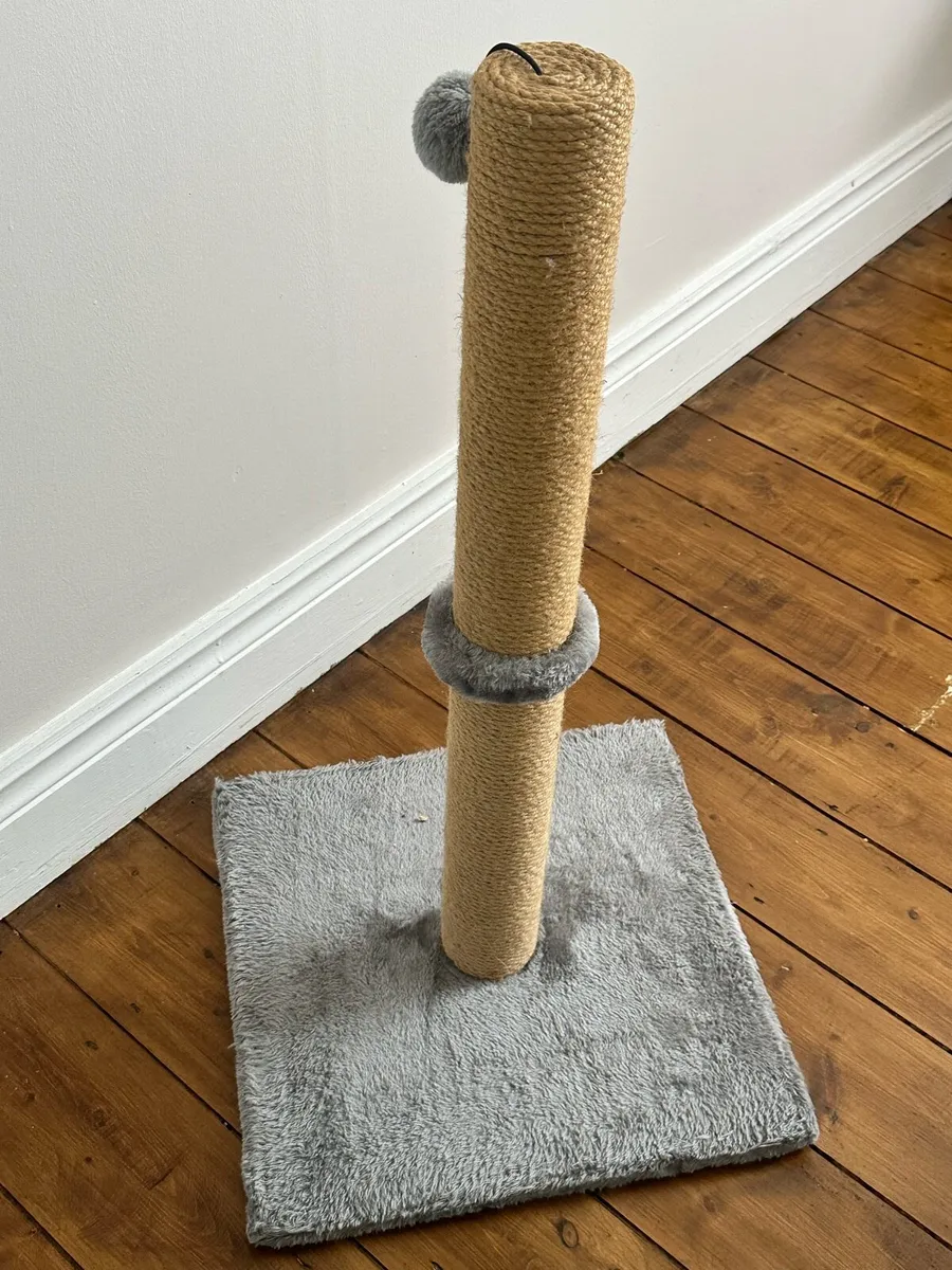 Cat scratching post
