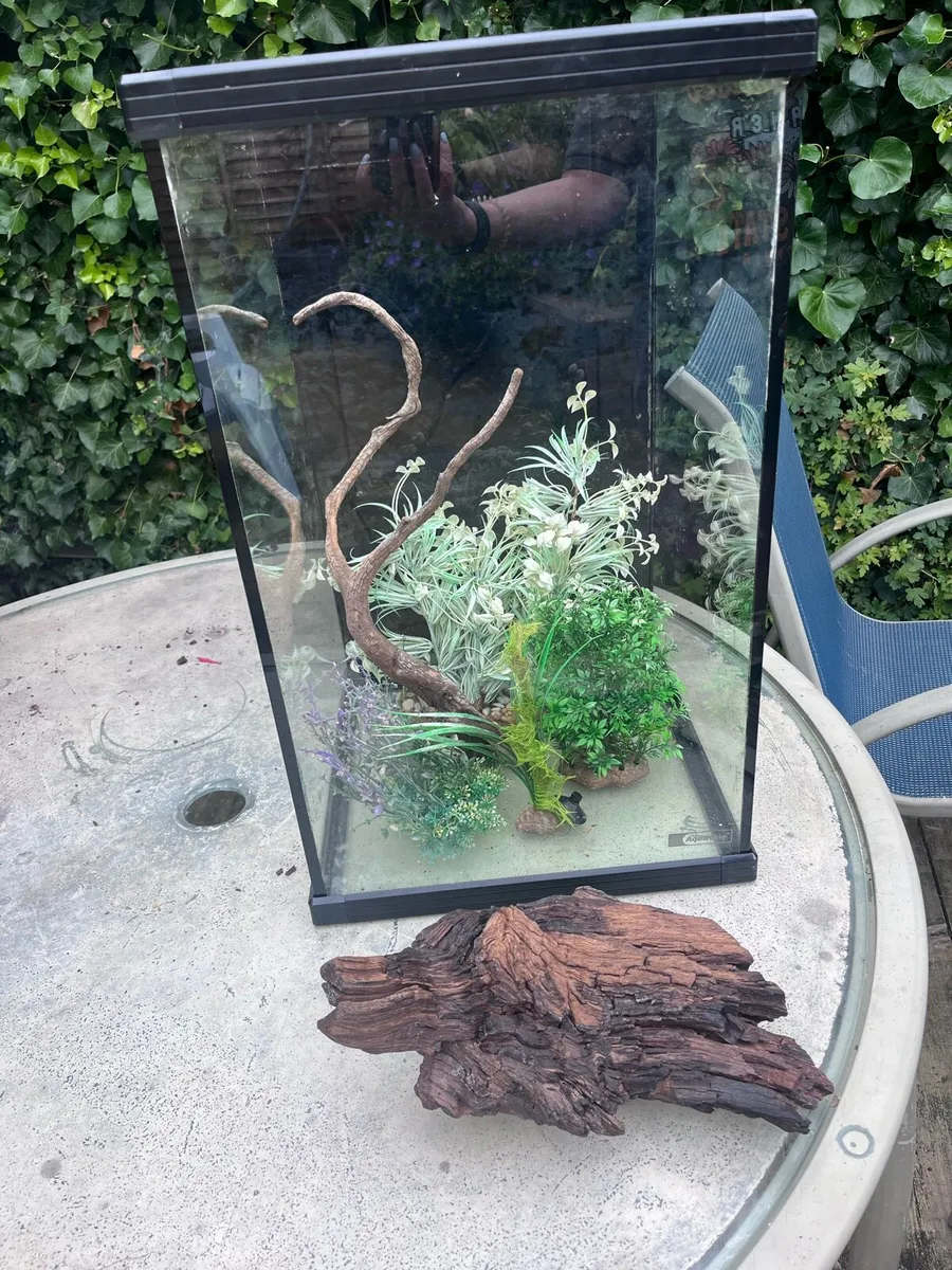 Aquaone Fish Tank - Image 1
