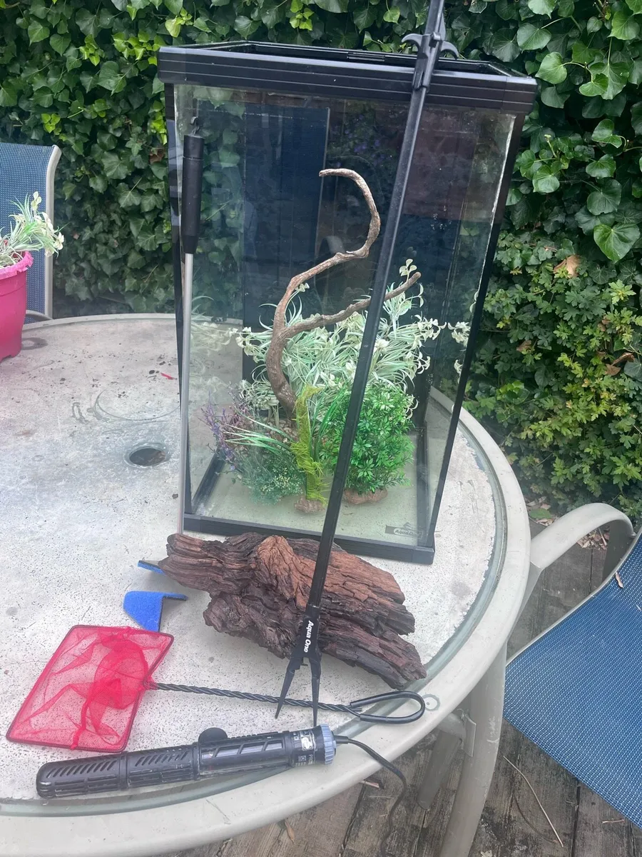 Aquaone Fish Tank - Image 2