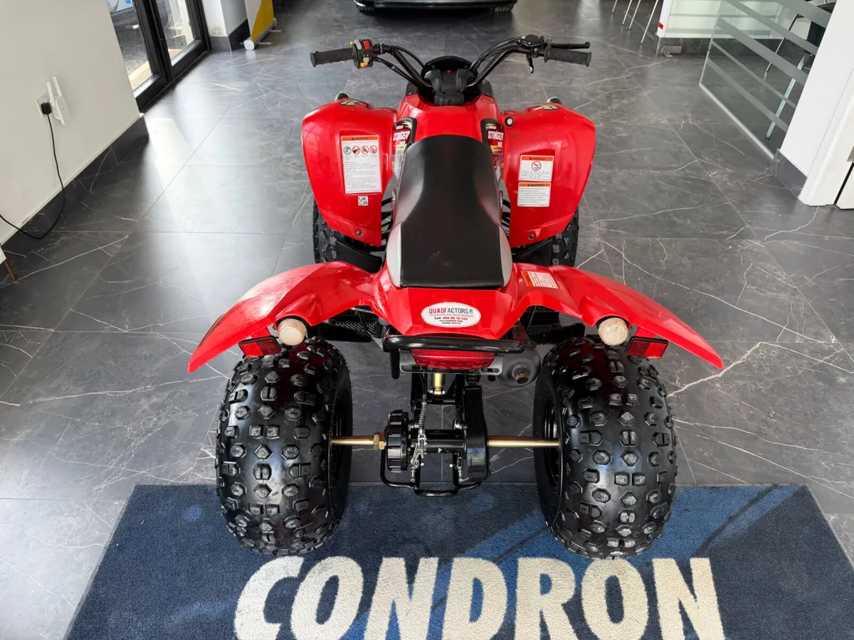 Quadzilla Stinger 100cc 2 stroke automatic ! - Image 4