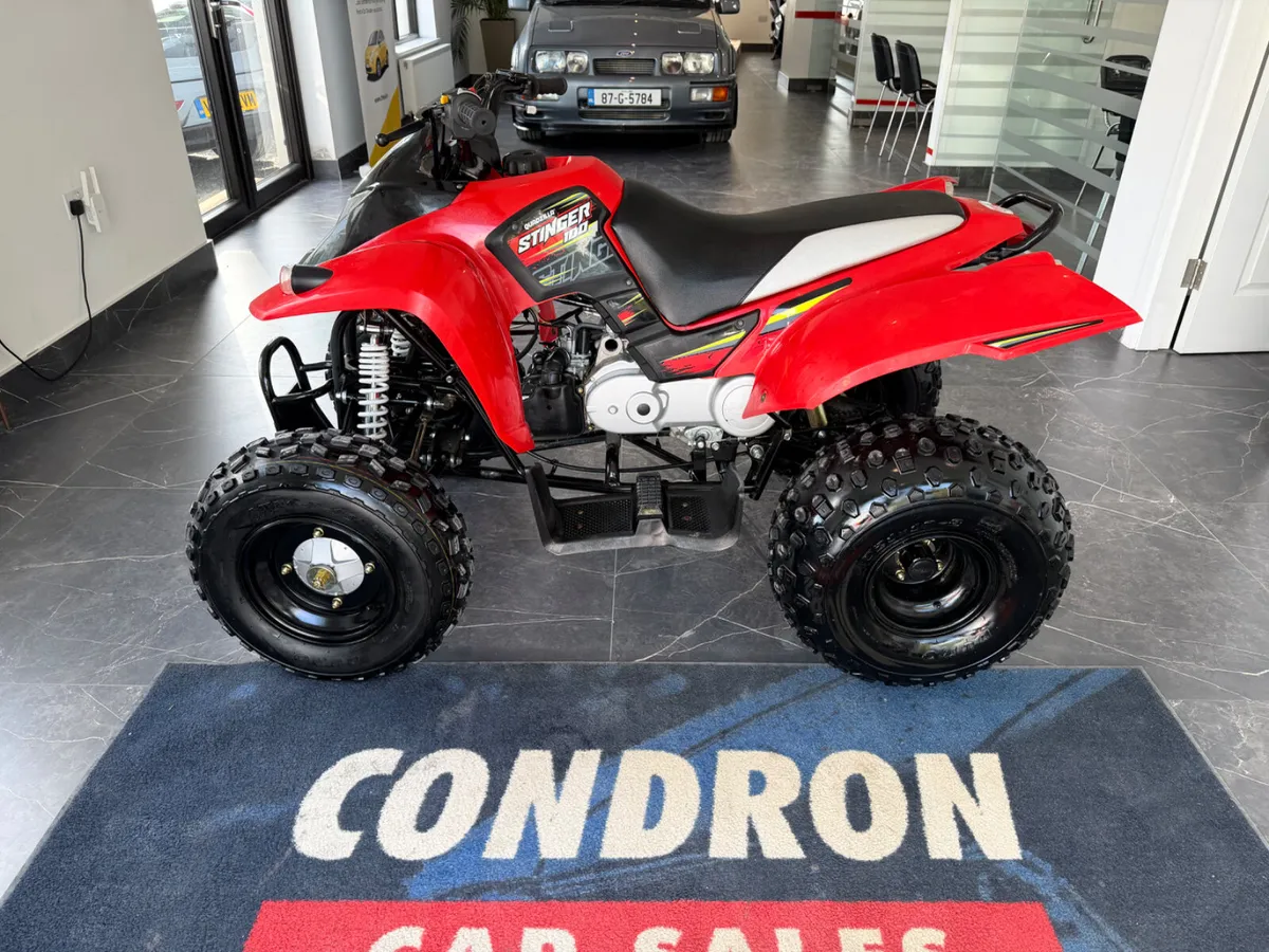 Quadzilla Stinger 100cc 2 stroke automatic ! - Image 3