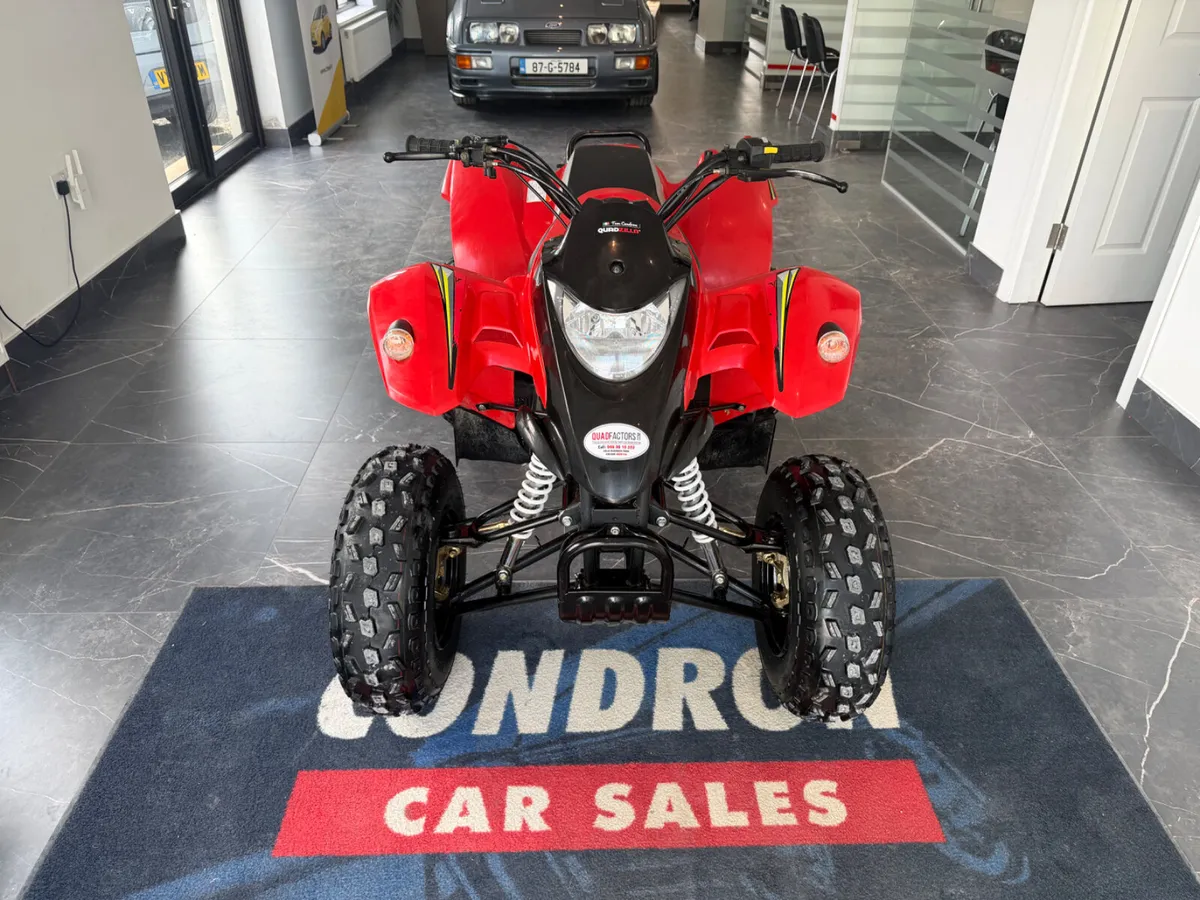 Quadzilla Stinger 100cc 2 stroke automatic ! - Image 2