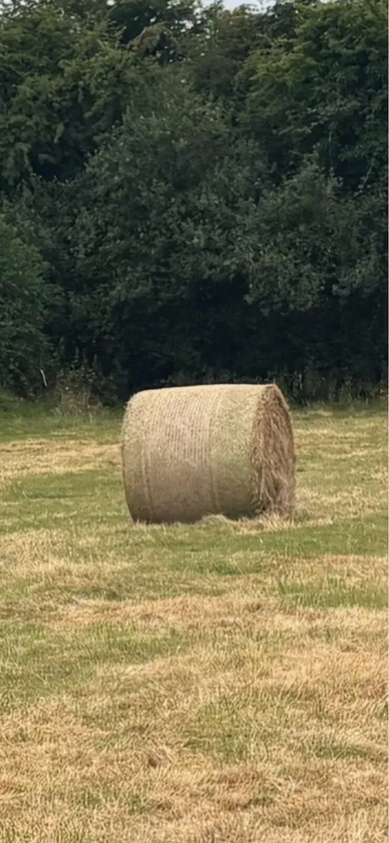 Organic Round Hay Bales - Image 2