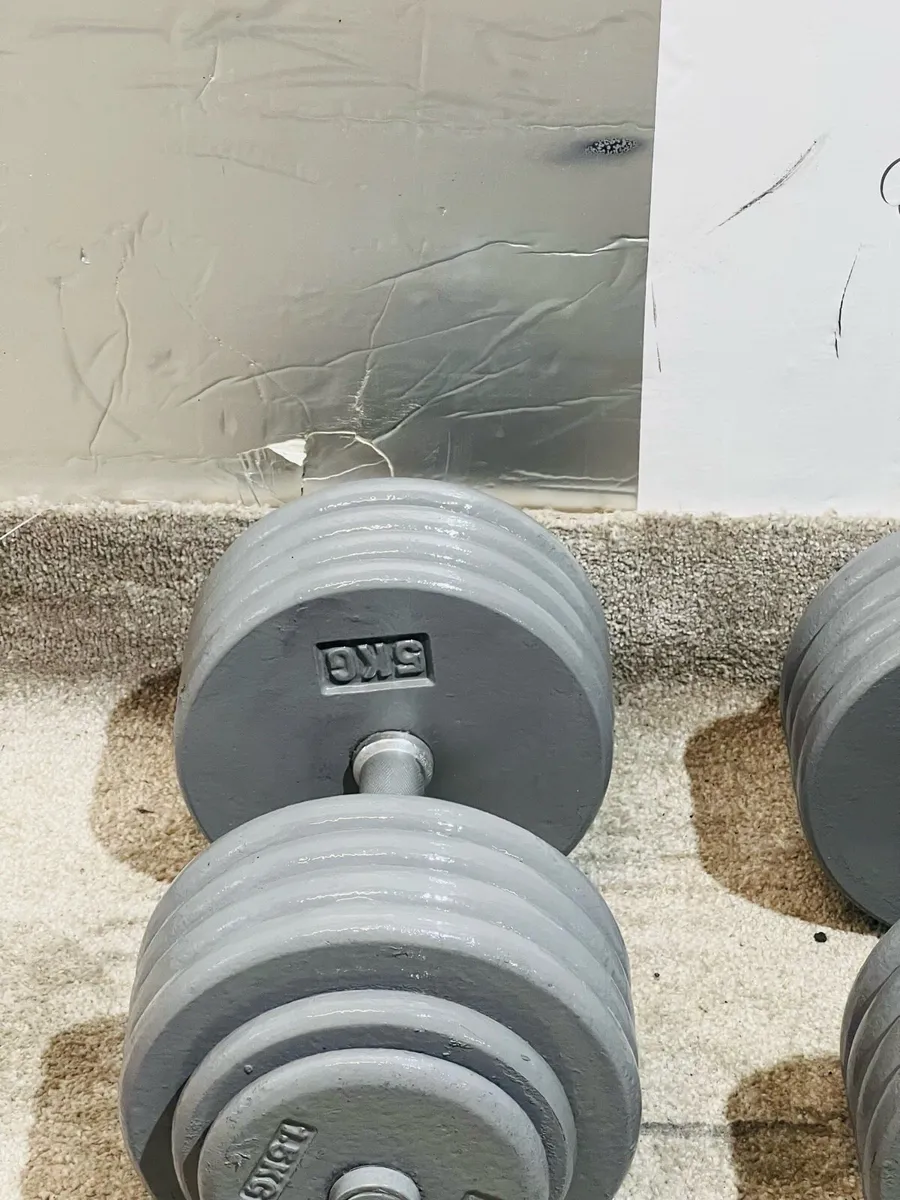 94KG DUMBBELLS 2 X 47 KGS - Image 3