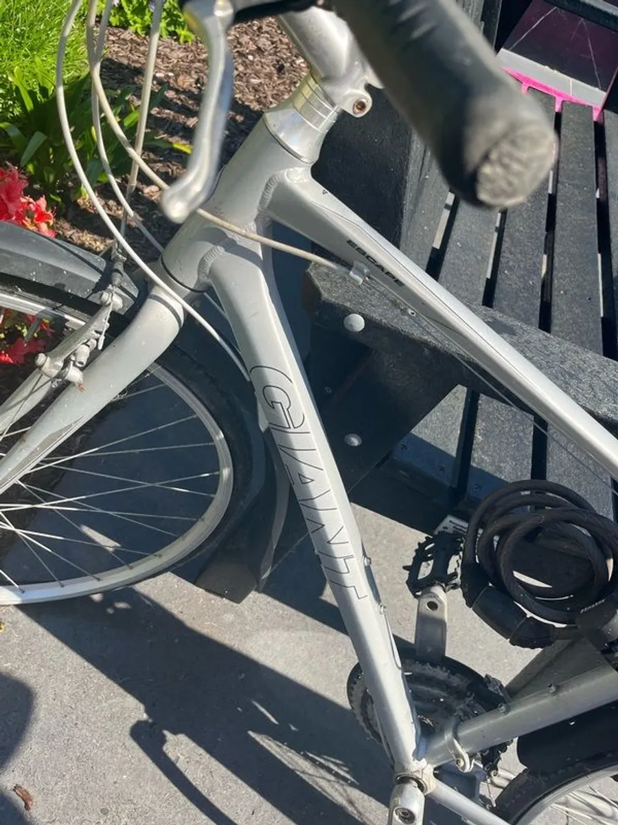 Bikes male and female adult size - Image 3