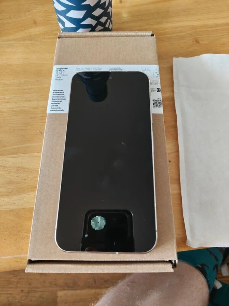 Google Pixel 10 Pro XL Porcelain 256 GB + Dbrand phone case - Image 1