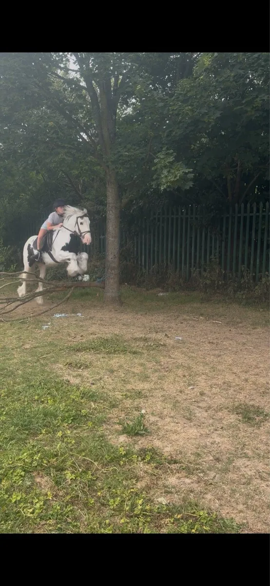 Pony - Image 1