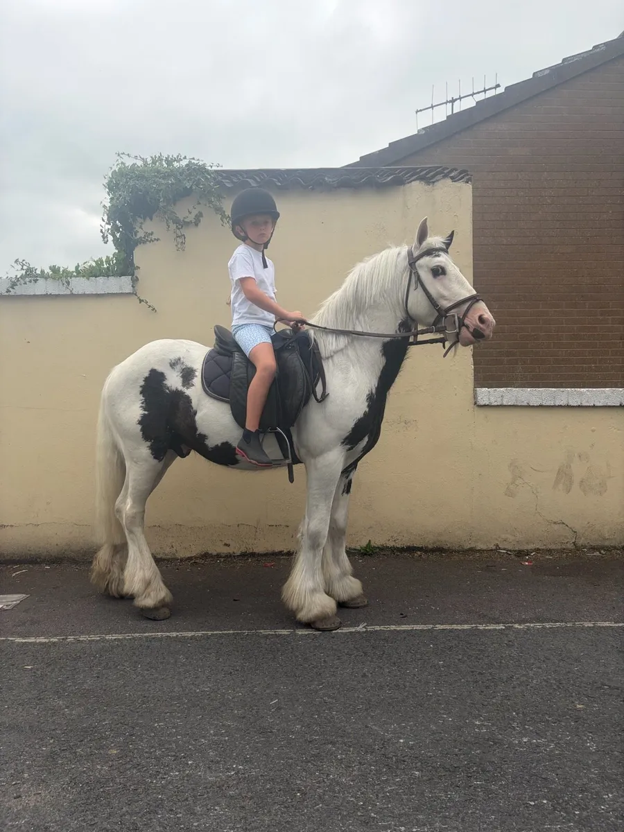Pony - Image 2