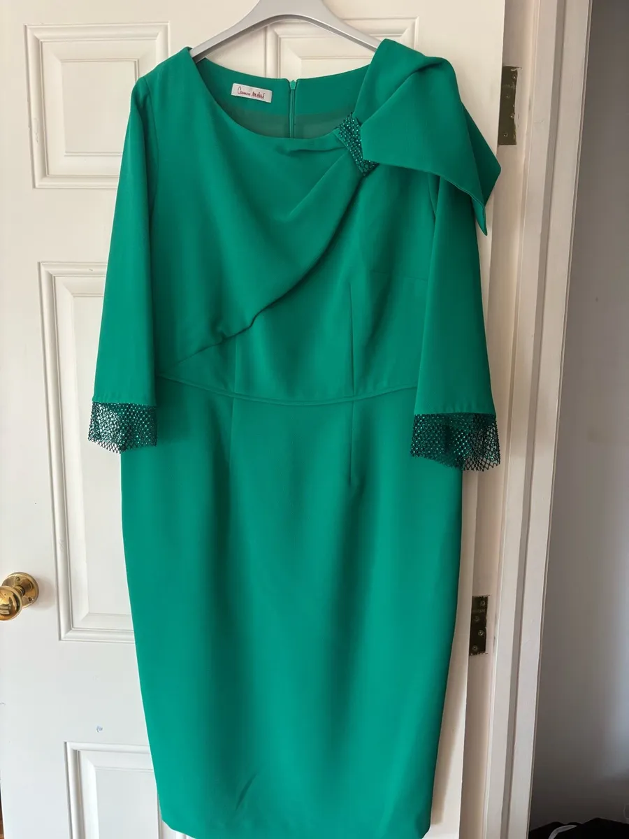 Mother of the Groom/bride Dress and Fascinator - Image 1