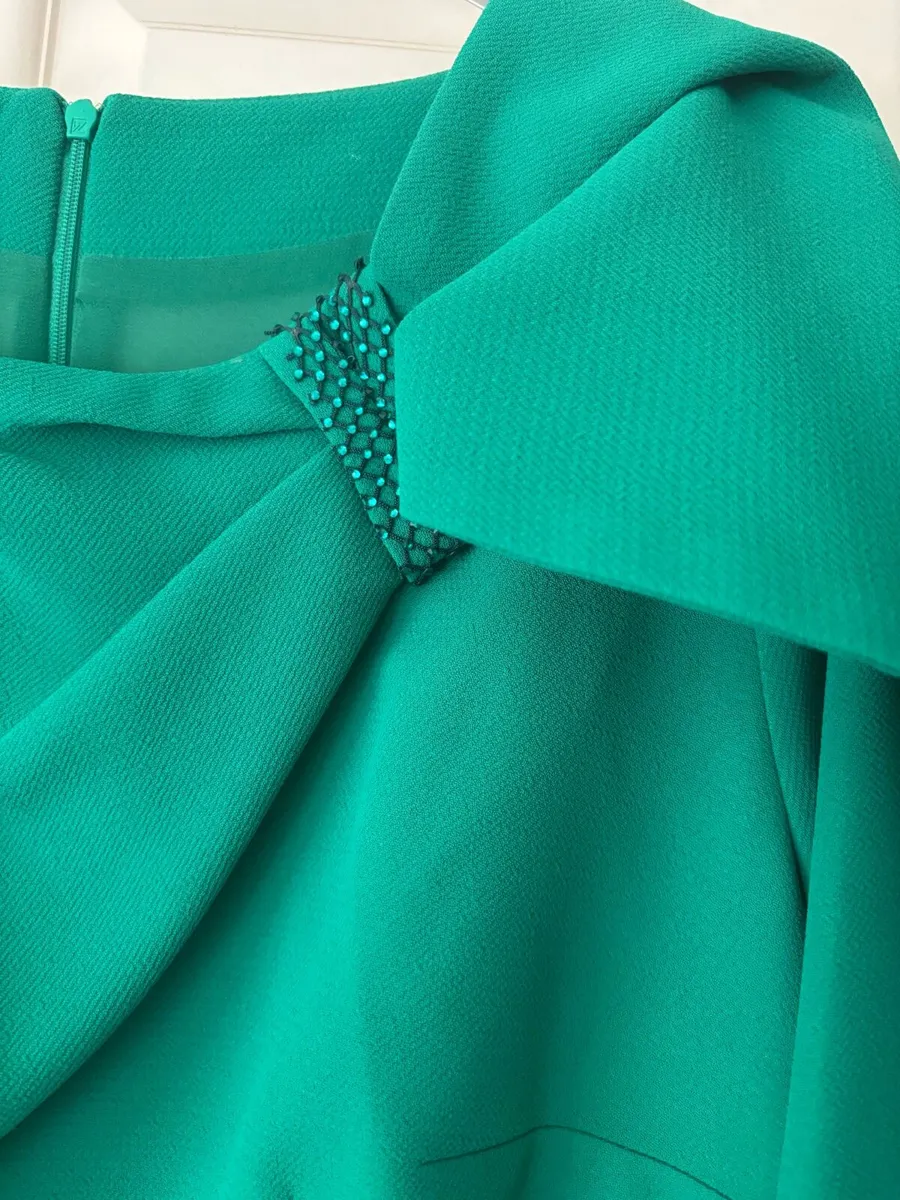 Mother of the Groom/bride Dress and Fascinator - Image 2