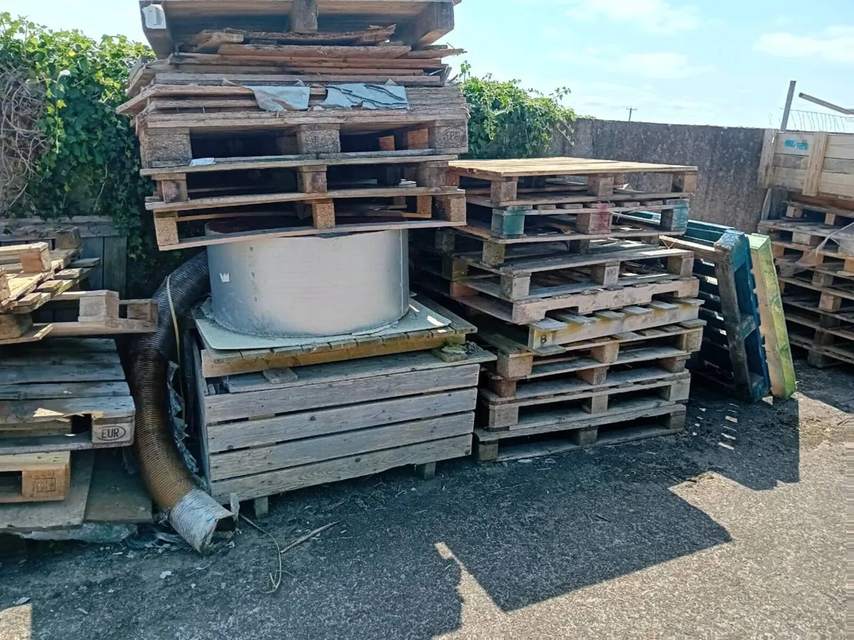 Pallets/firewood/ kindling - Image 1