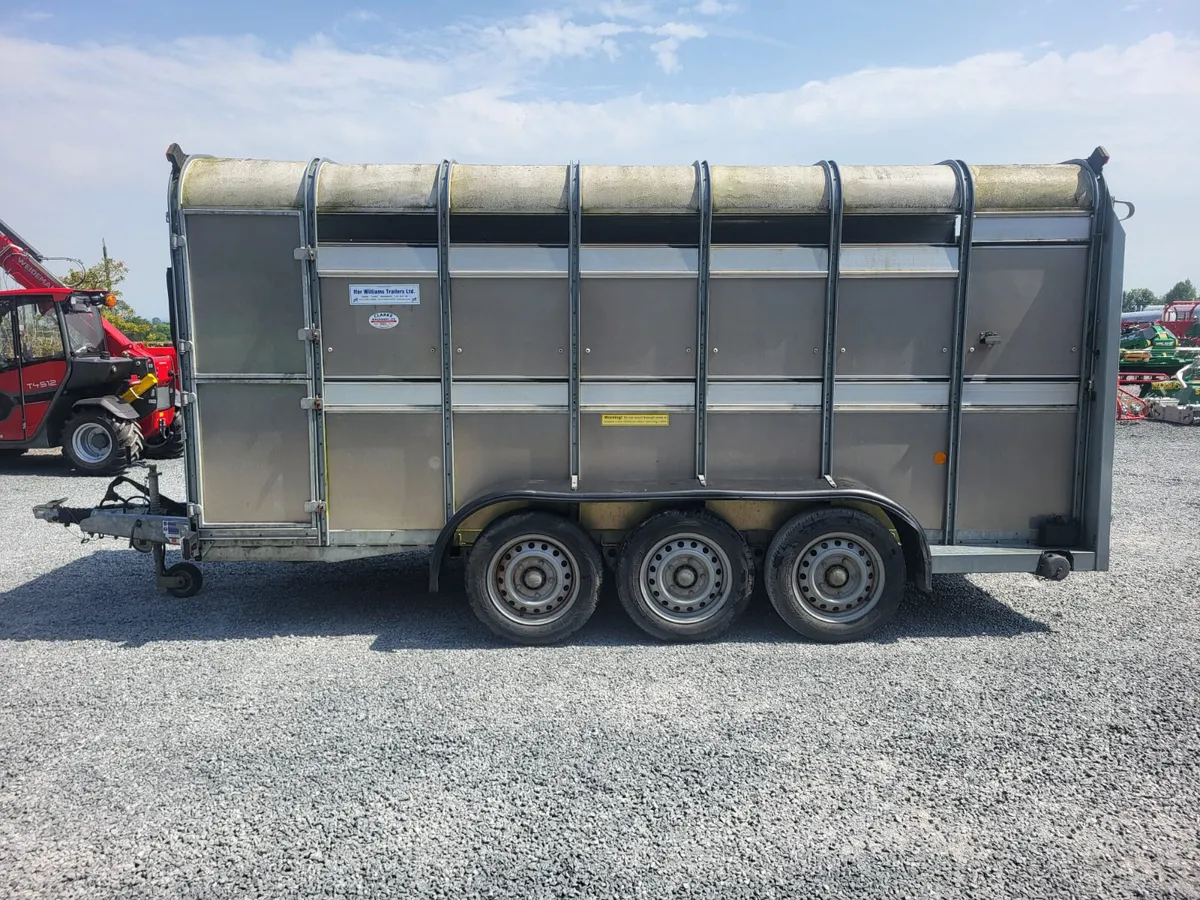 Ifor Williams 14ft Tri Axle Cattle Trailer - Image 2