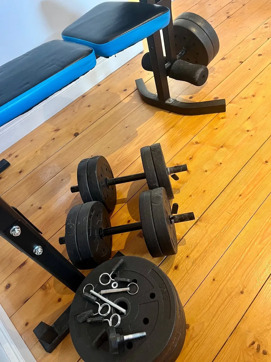 Bench + Weights - Image 4