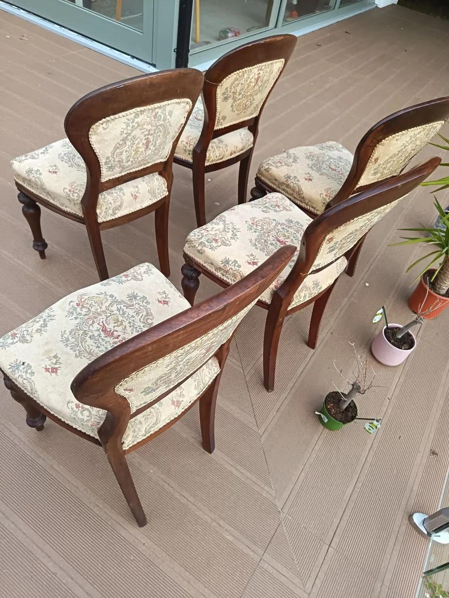 Dining chairs - Image 3