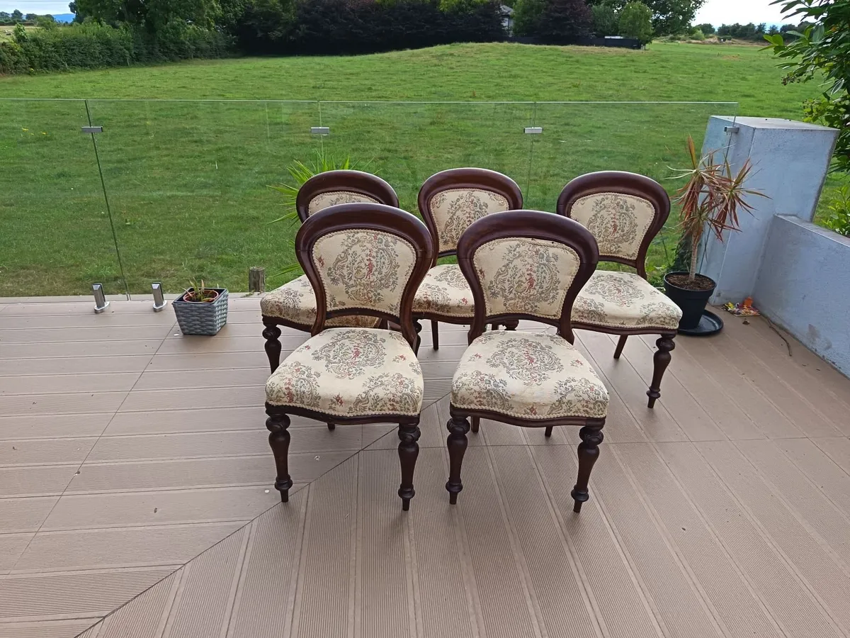 Dining chairs - Image 2