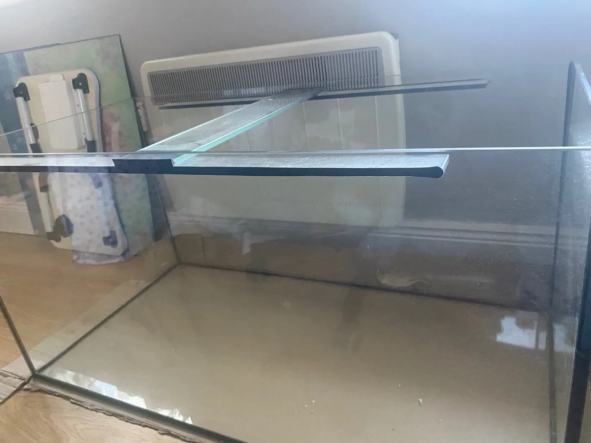 Fish Tank(250 litres), Hamster Enclosure - Image 3