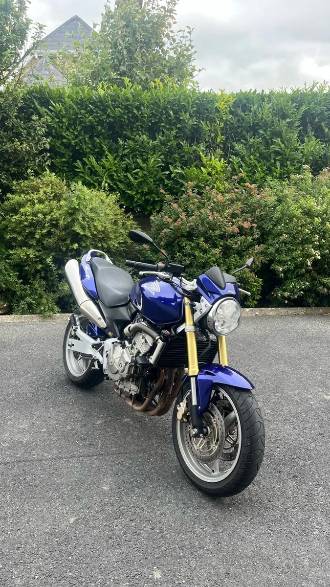 Hornet 600 (German import) 2007 - Image 1