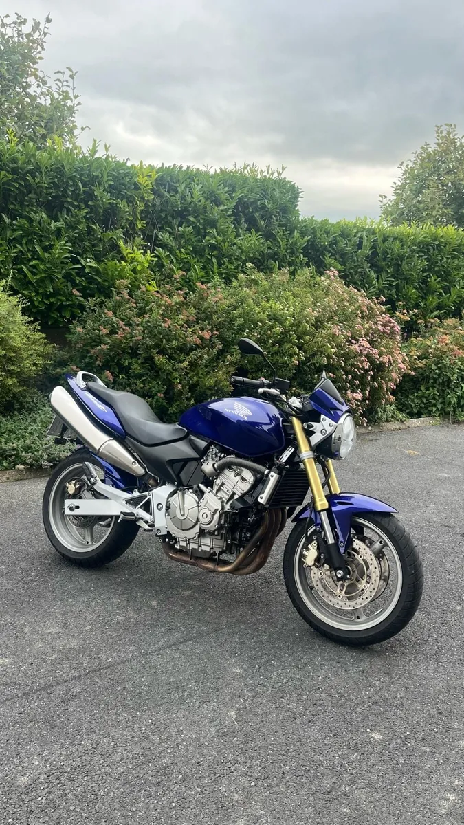 Hornet 600 (German import) 2007 - Image 2
