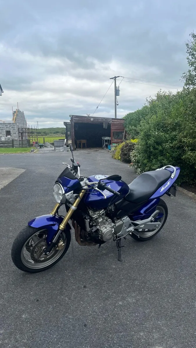 Hornet 600 (German import) 2007 - Image 3
