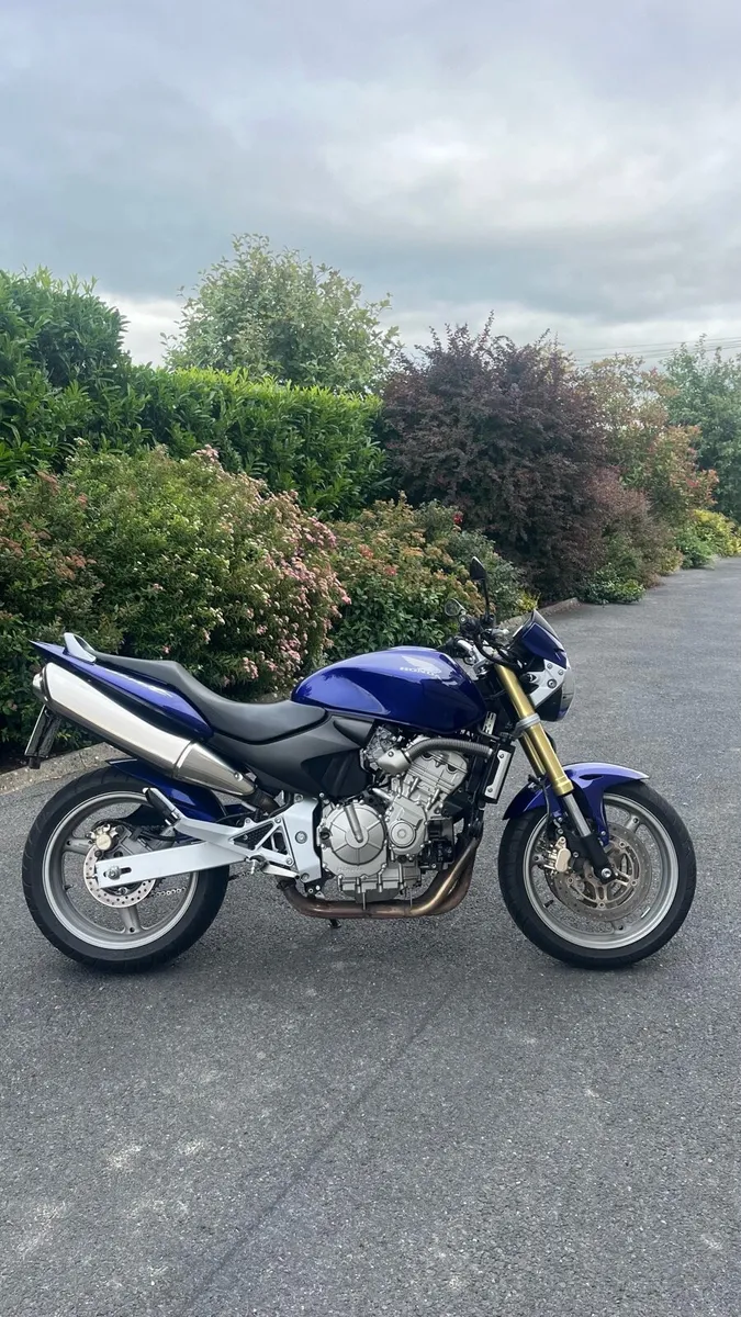 Hornet 600 (German import) 2007 - Image 4