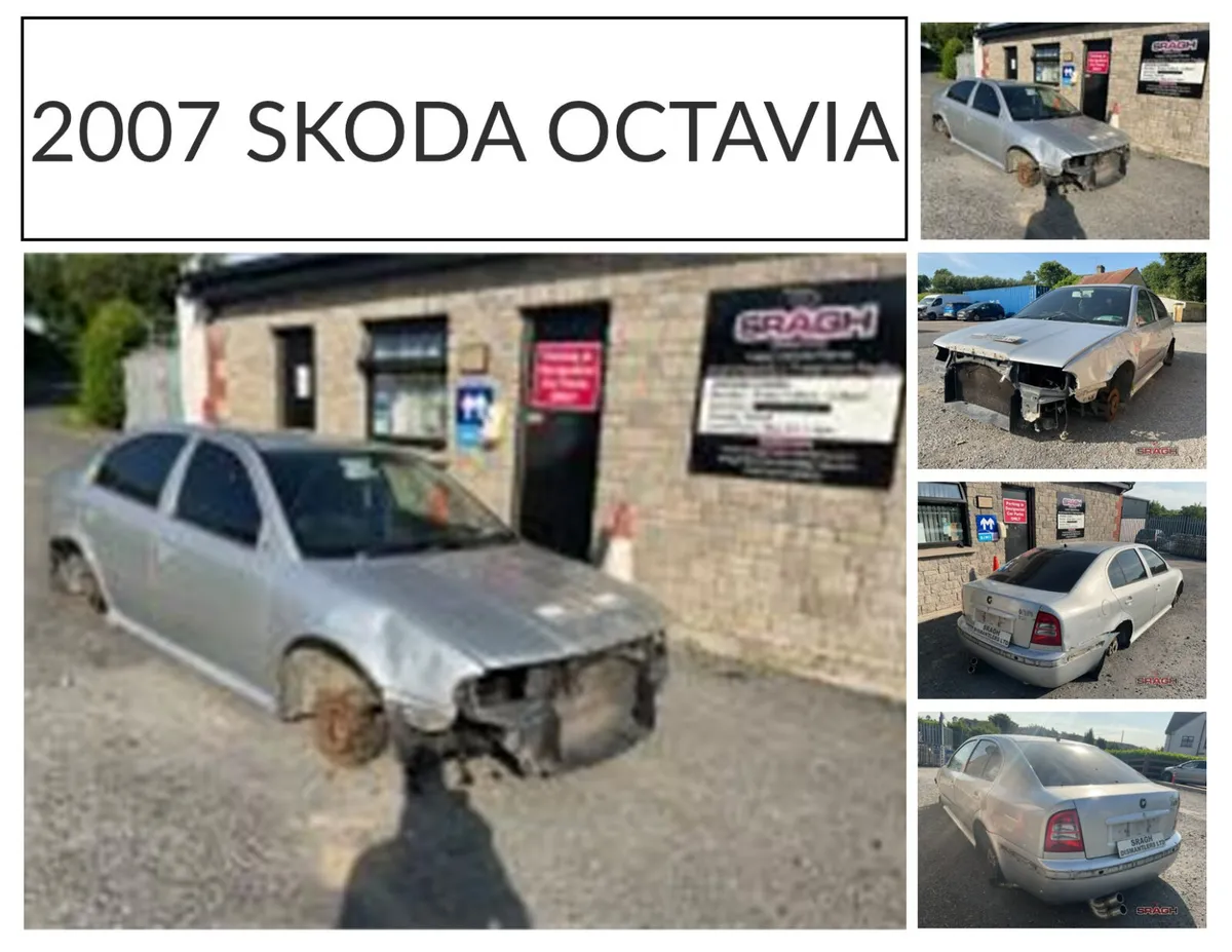 Skoda Octavia Collection - Image 1
