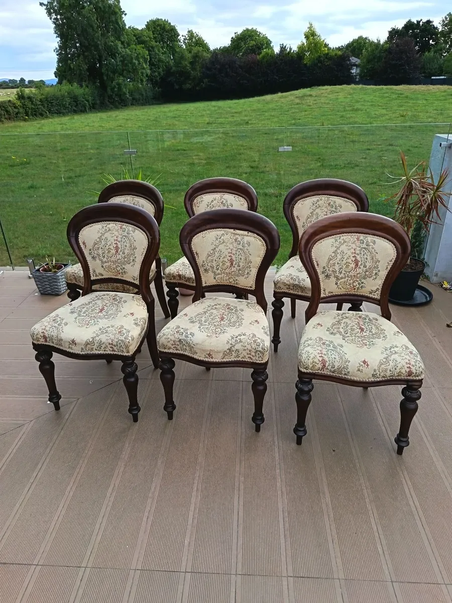 Dining chairs - Image 1