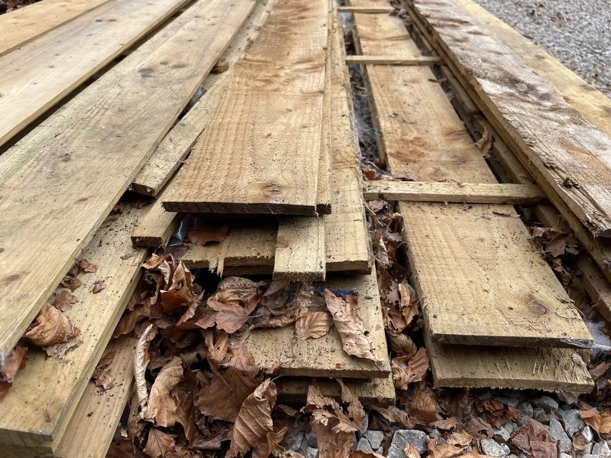 Wood - Image 3