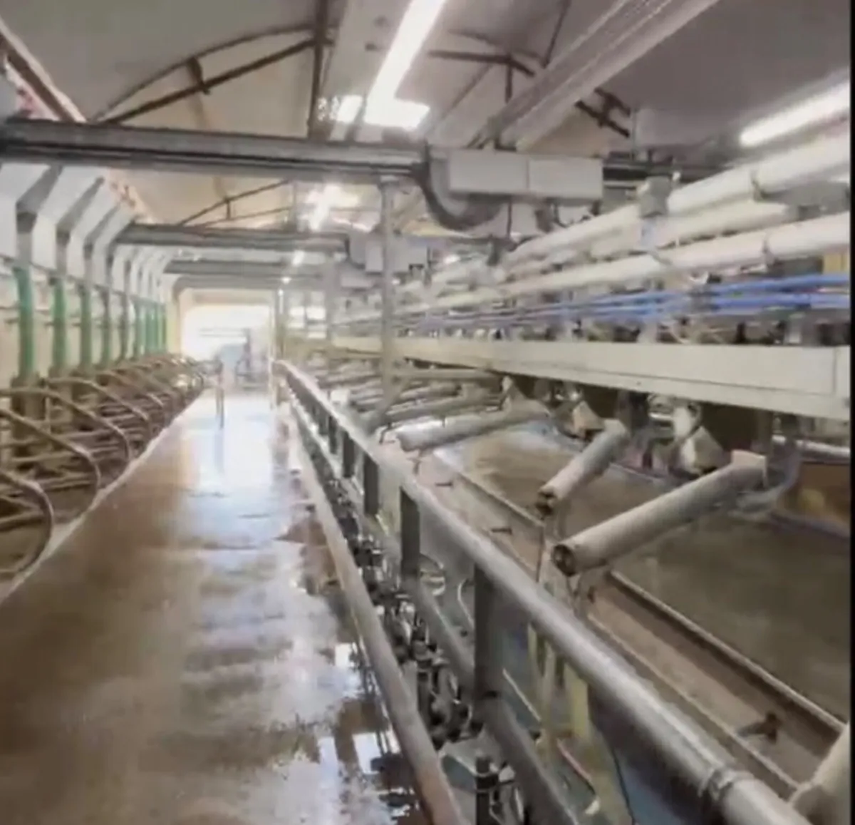 Milking Parlour - HUGE SPEC - Image 1