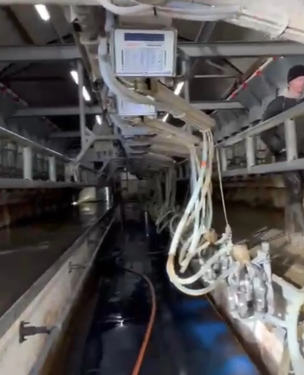 Milking Parlour - HUGE SPEC - Image 4