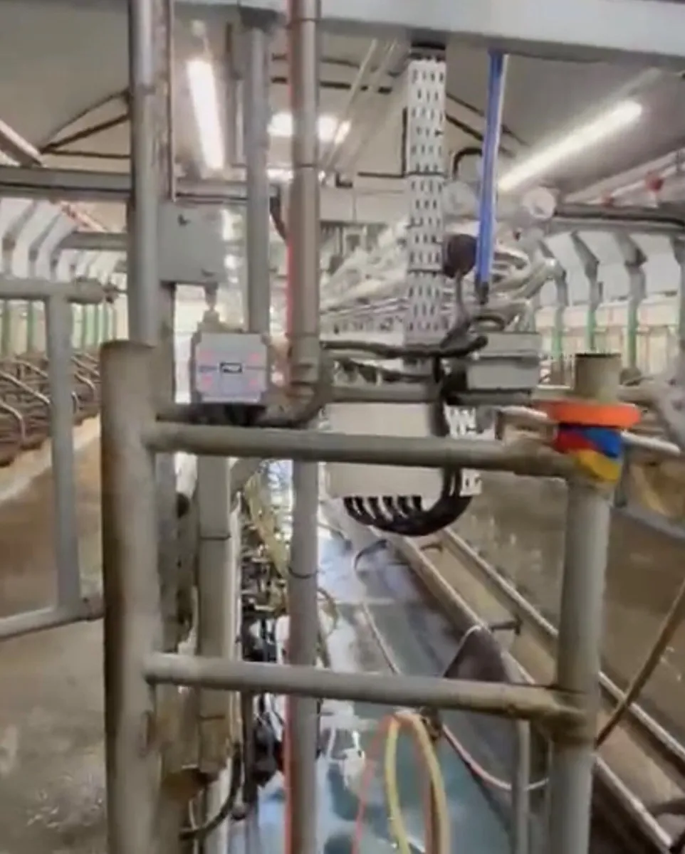 Milking Parlour - HUGE SPEC - Image 2