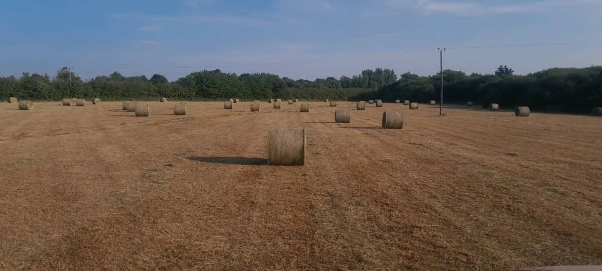 Hay 4×4 - Image 2