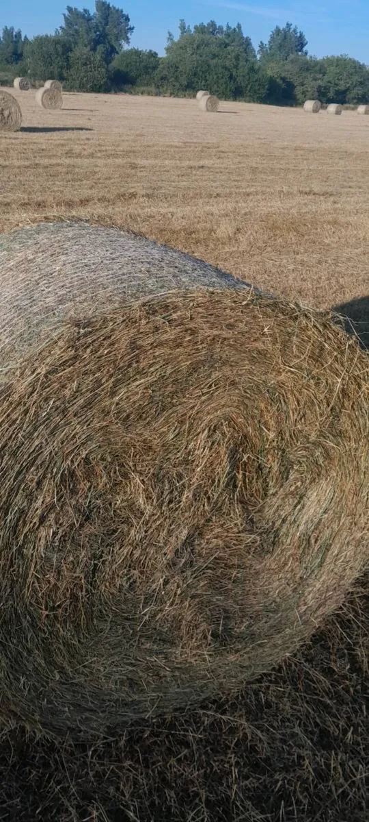 Hay 4×4 - Image 3