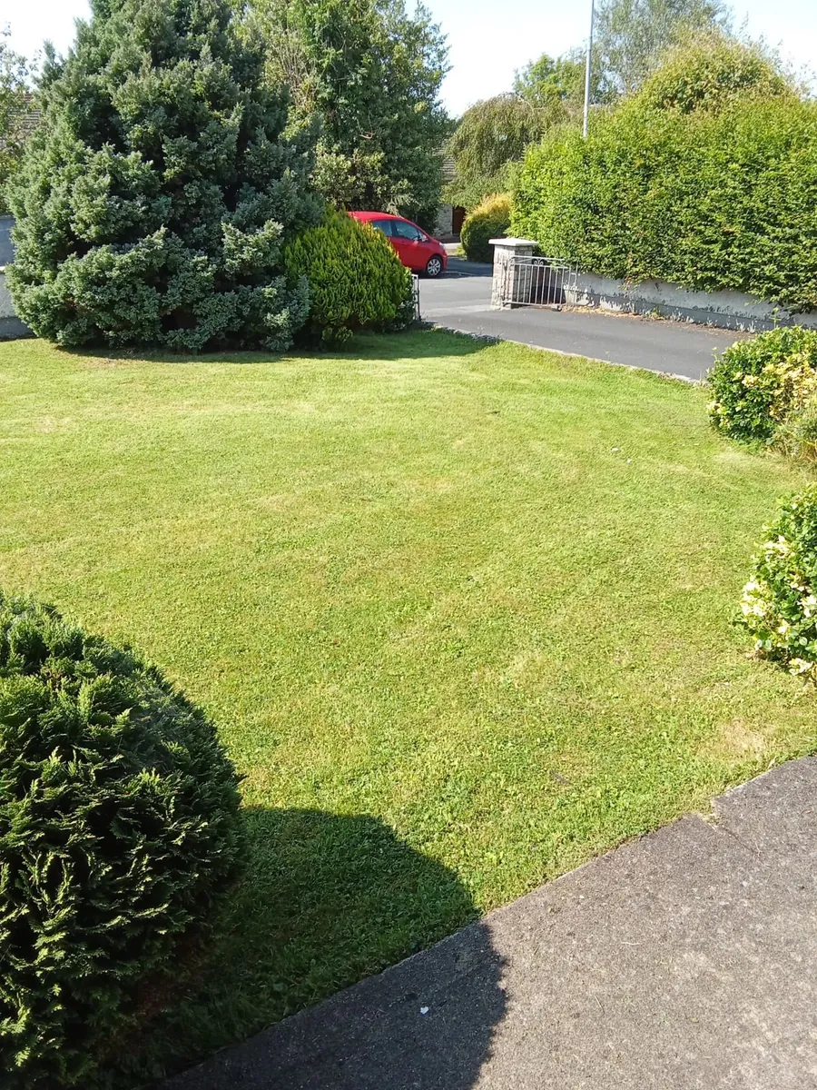 I am  available to cut lawns in the ennis area - Image 3