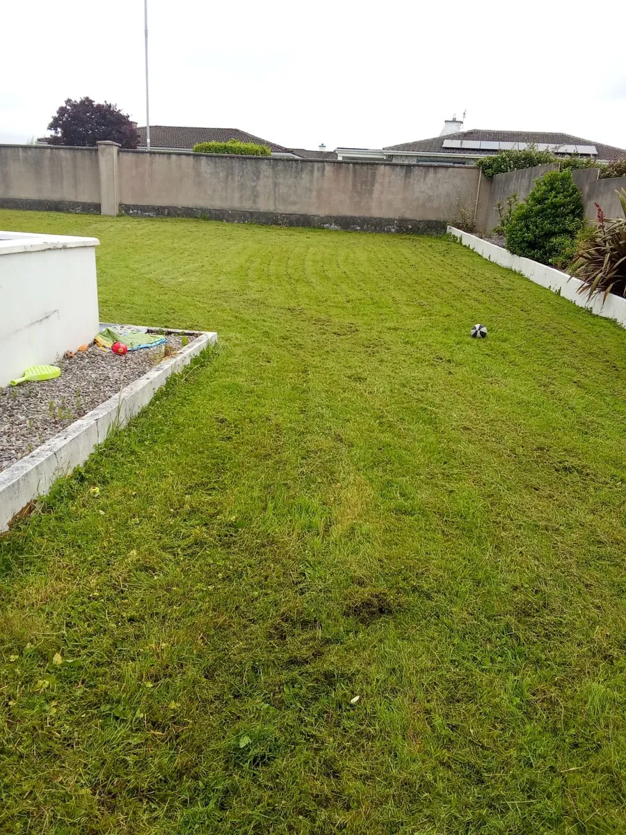 I am  available to cut lawns in the ennis area - Image 4