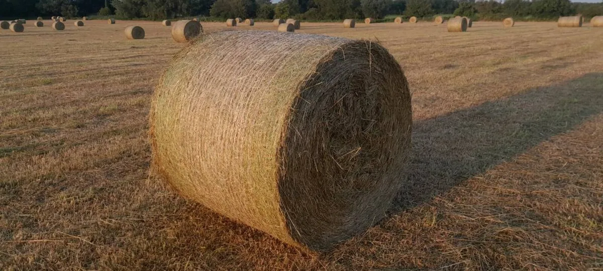 Hay 4×4 - Image 1