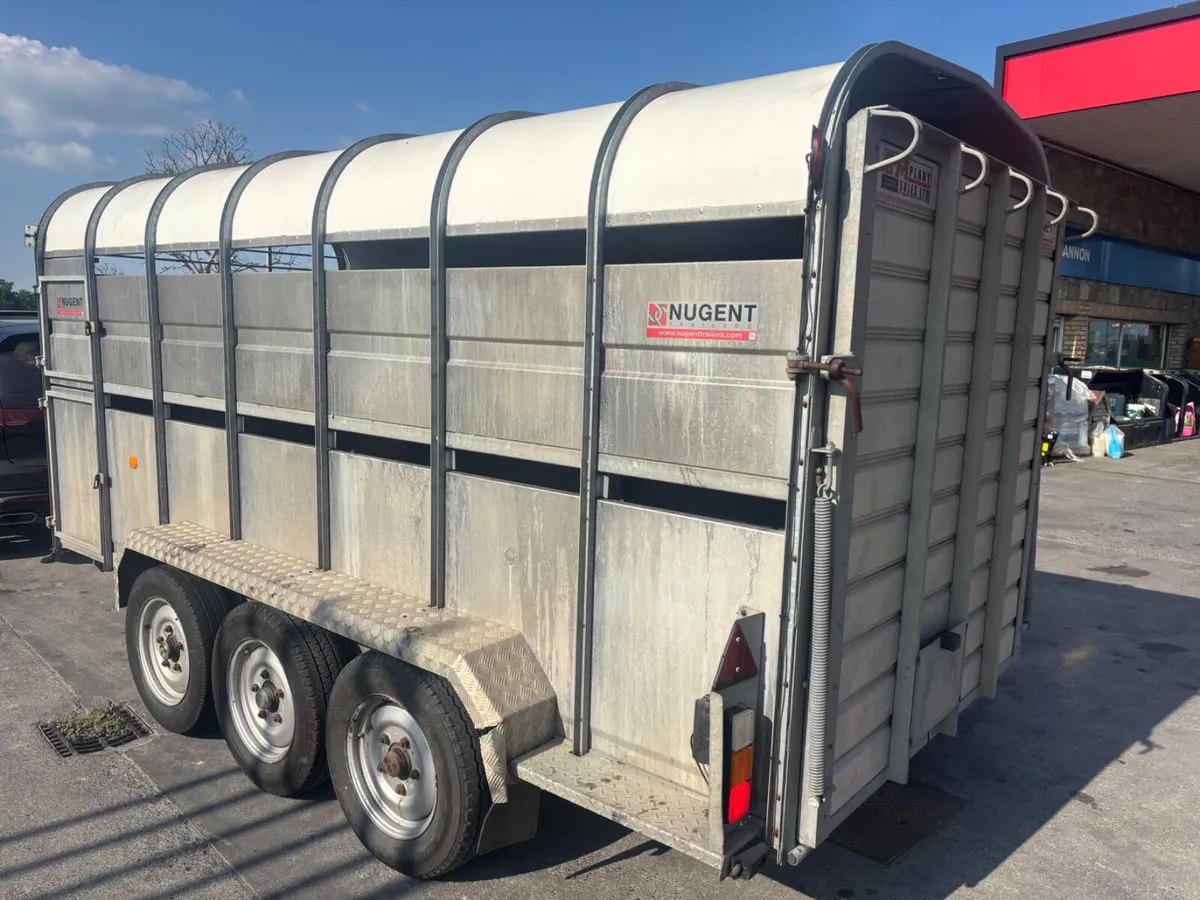 nugent 14ft livestock trailer - Image 3