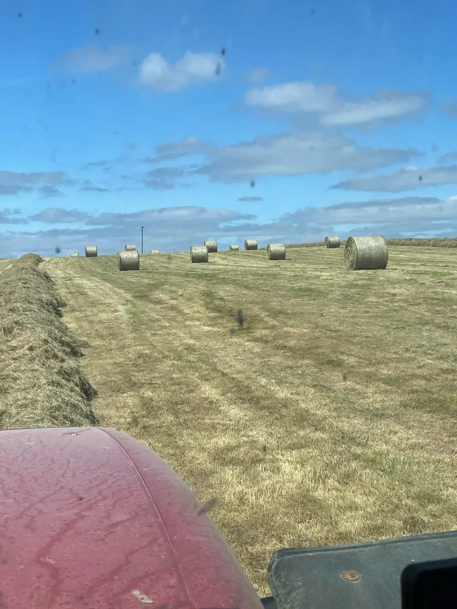 Hay and straw for sale - Image 3